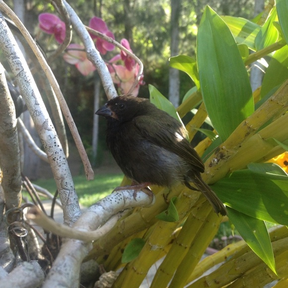 Meet your Posher, Liz m. - Picture 1 of 1